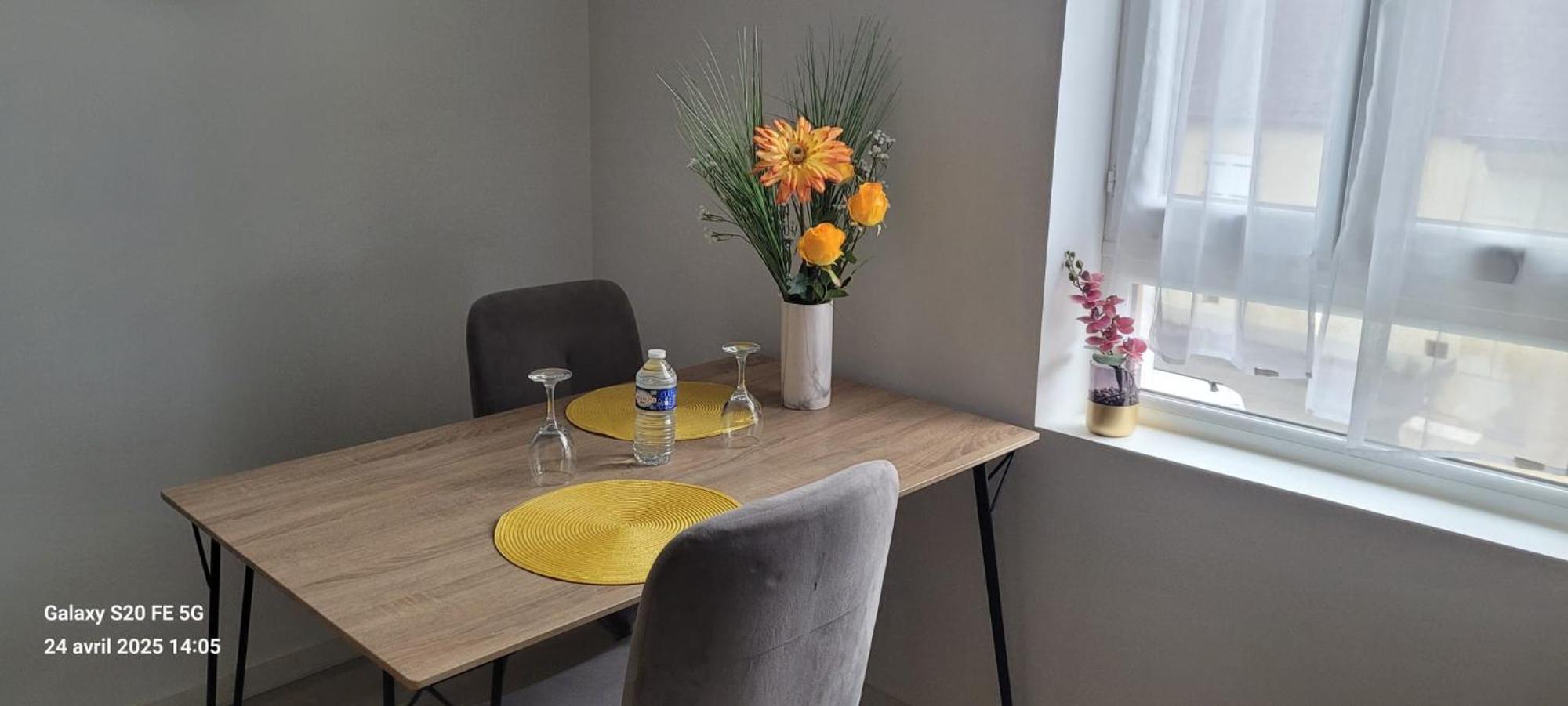 Les Volets Bleus - Deux Appartements Et Un Studio, Jardin Bourges Exterior photo